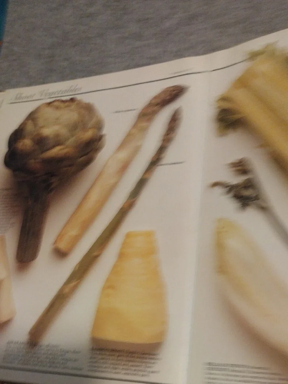 Cooks' Ingredients Cookbook - White Cover